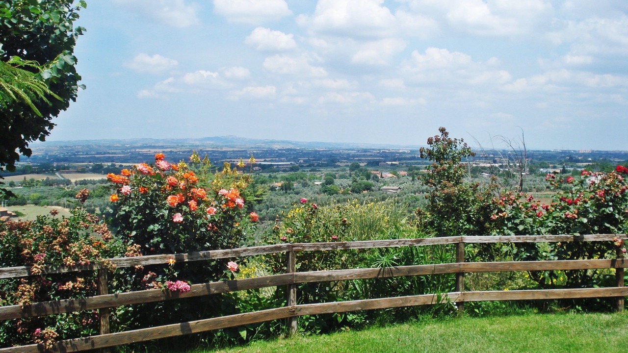 Photo of Outdoor in Viterbo