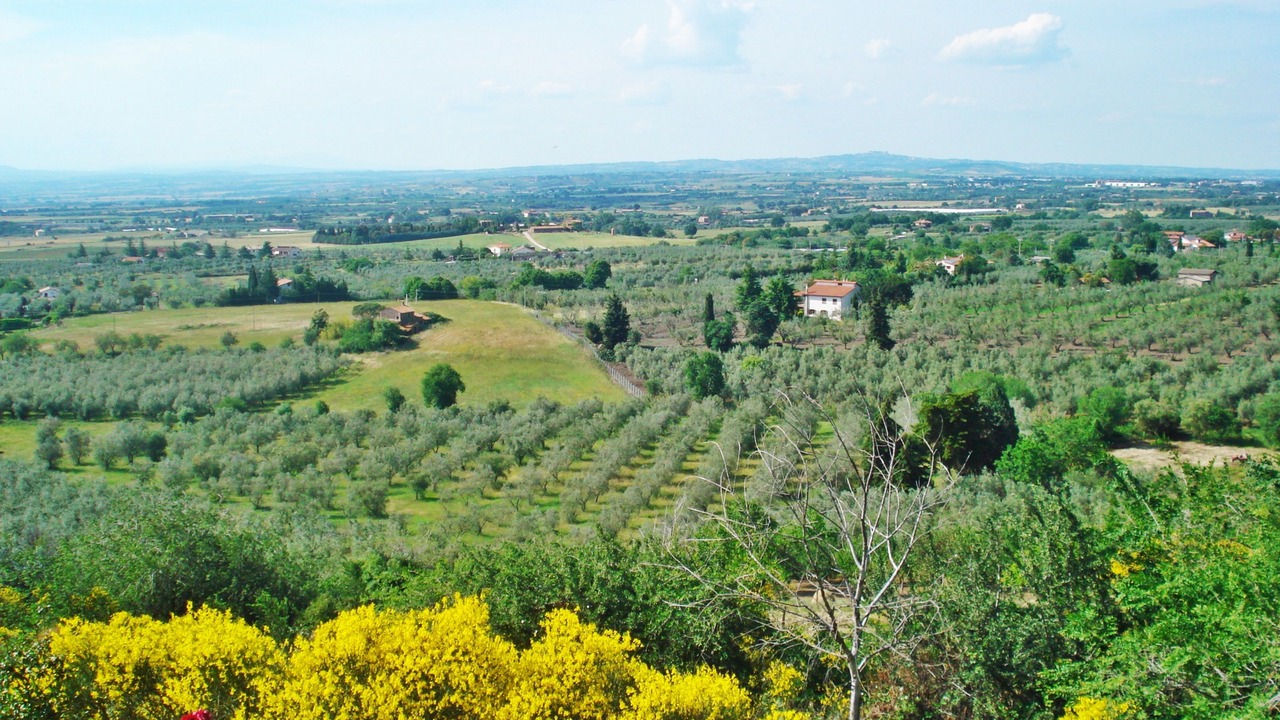 Photo of Outdoor in Viterbo