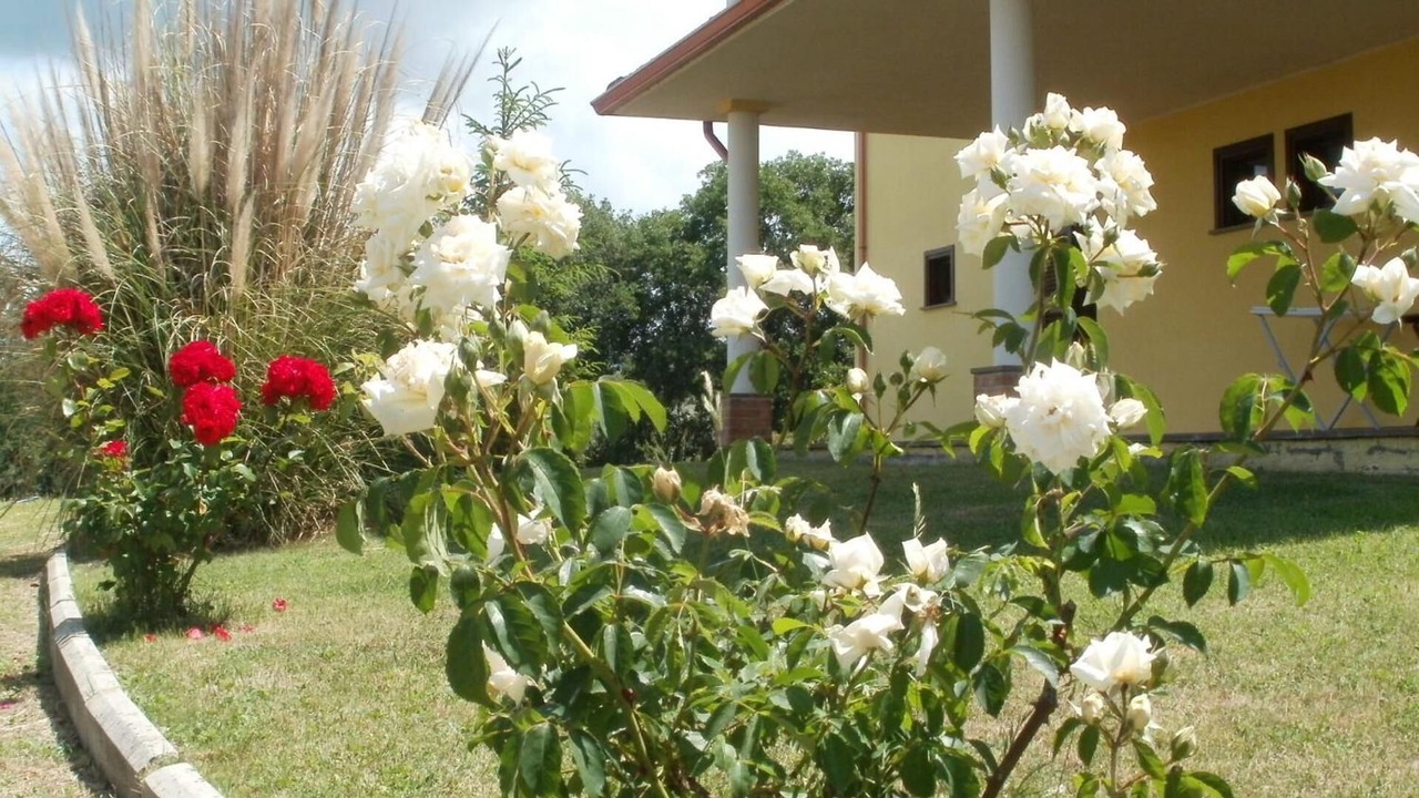 Photo of Outdoor in Viterbo