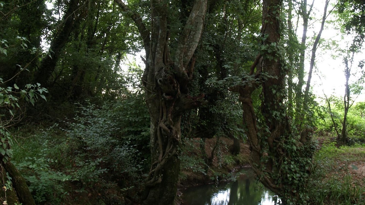 Photo of Outdoor in Manciano