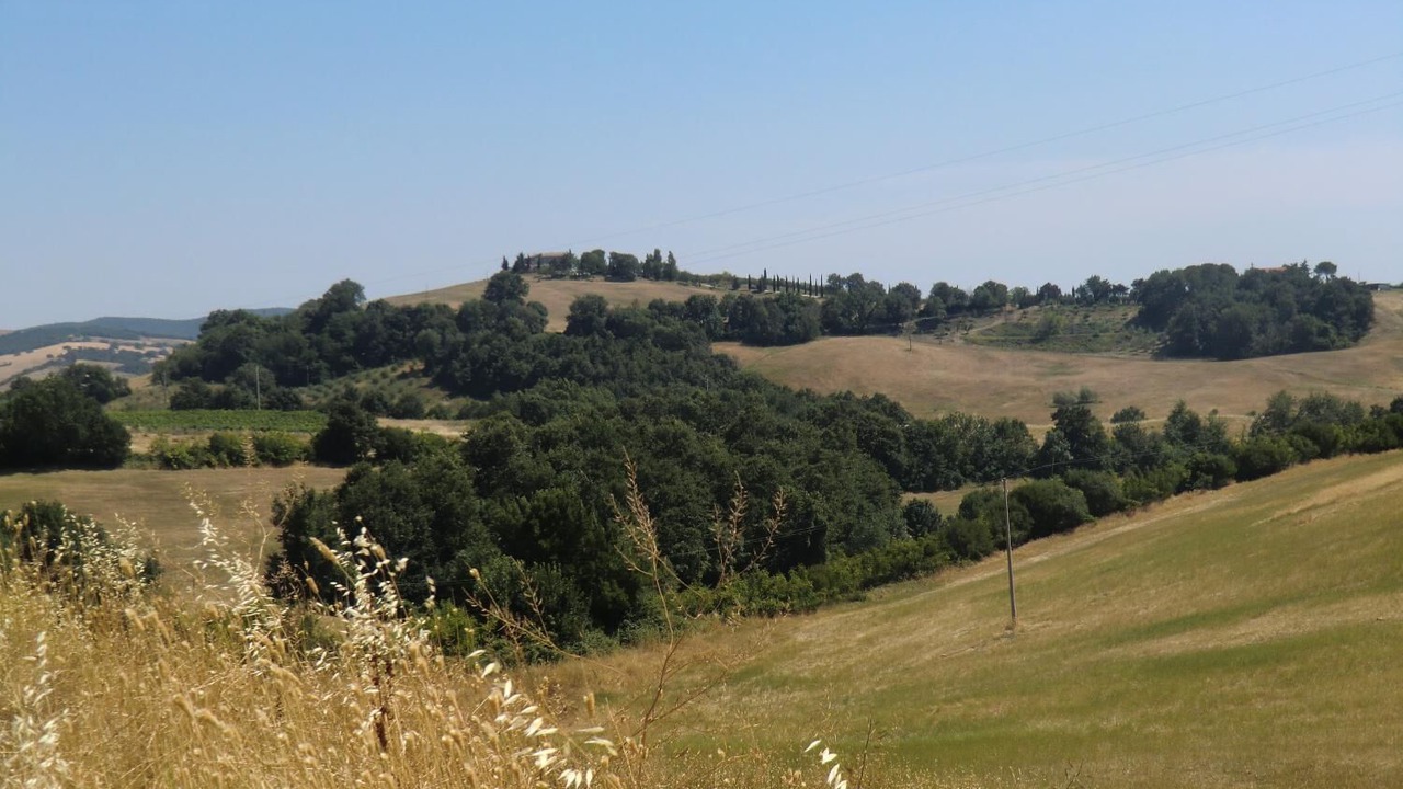 Photo of Outdoor in Manciano
