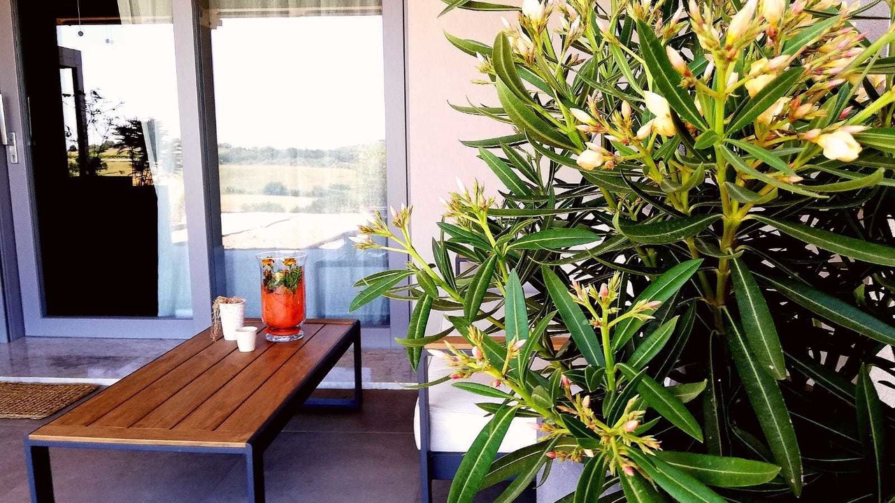 Photo of Outdoor in Magliano in Toscana