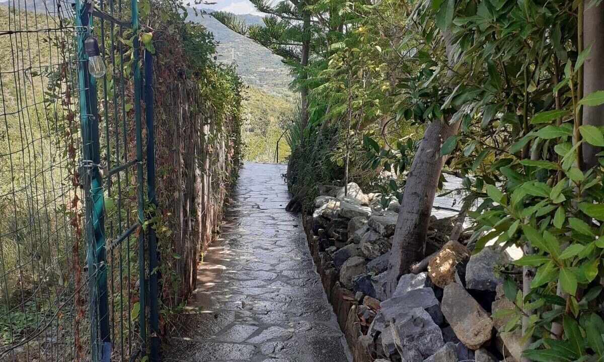 Photo of Outdoor in Scario