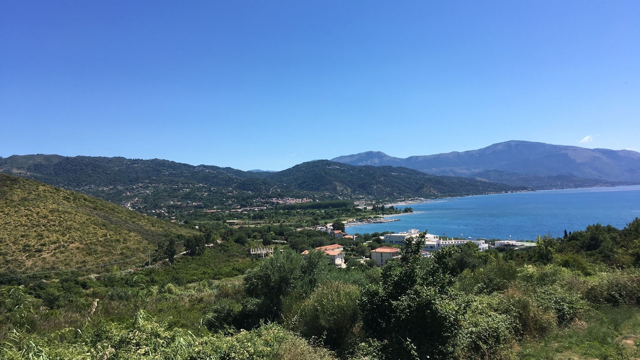 Photo of Others in Scario
