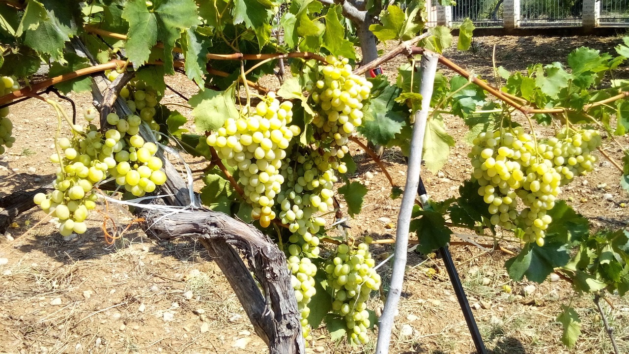 Photo of Outdoor in Castrovillari