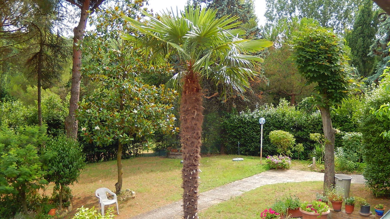 Photo of Outdoor in Pesaro