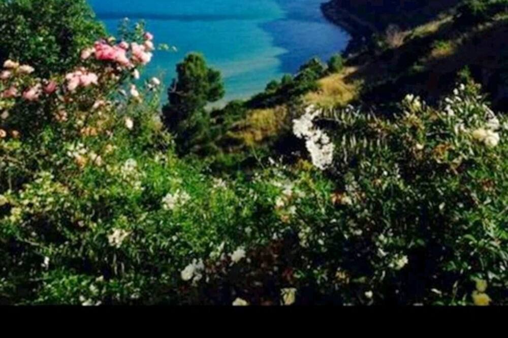 Photo of Others in Terracina
