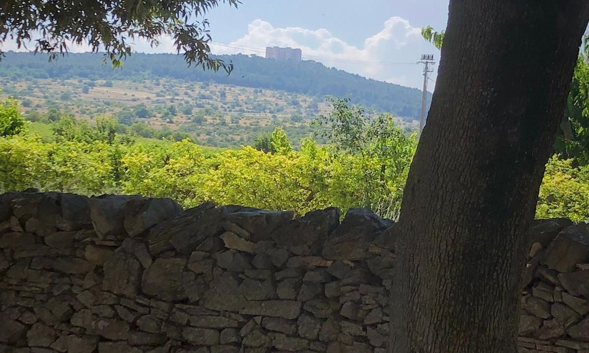 Photo of Others in Andria