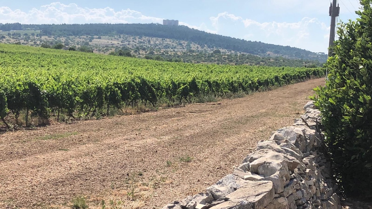 Photo of Outdoor in Andria