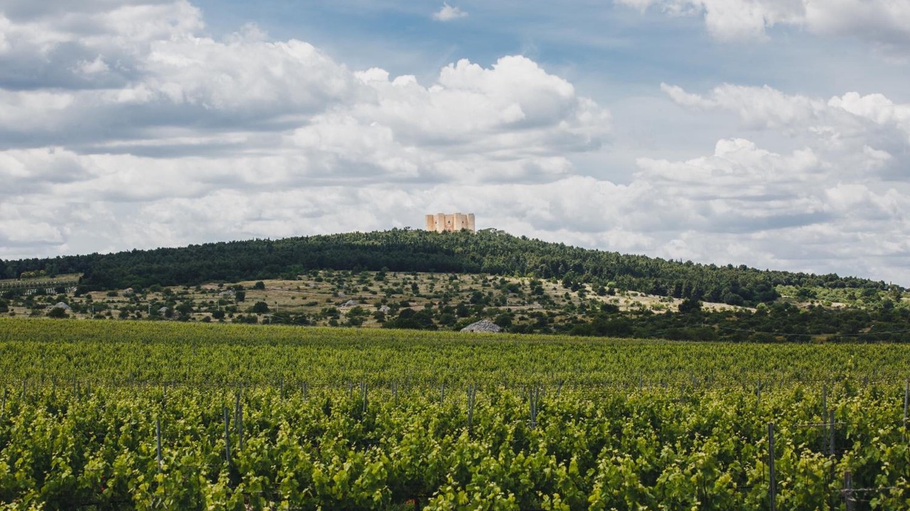 Photo of Outdoor in Andria