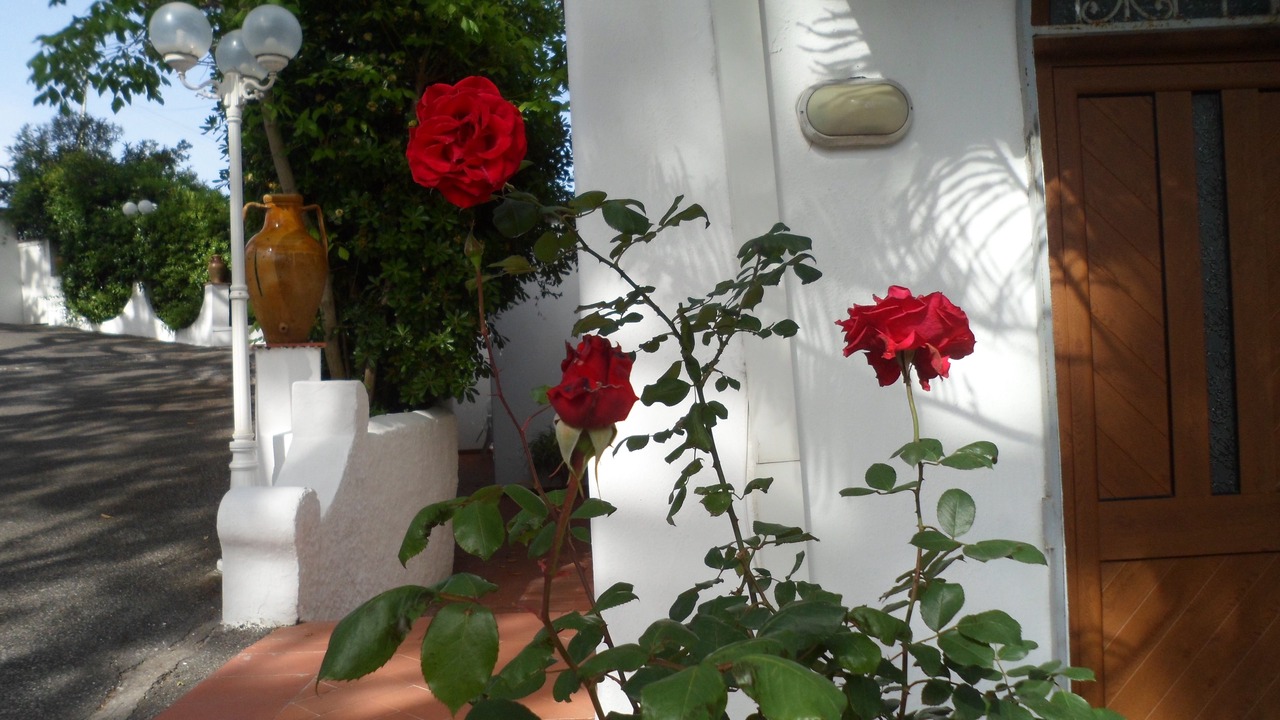 Photo of Outdoor in Panza