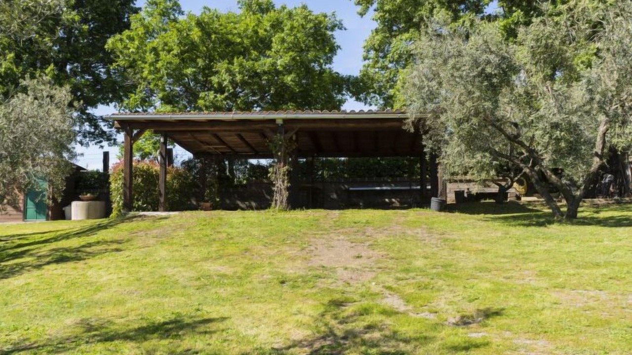 Photo of Outdoor in Vetralla
