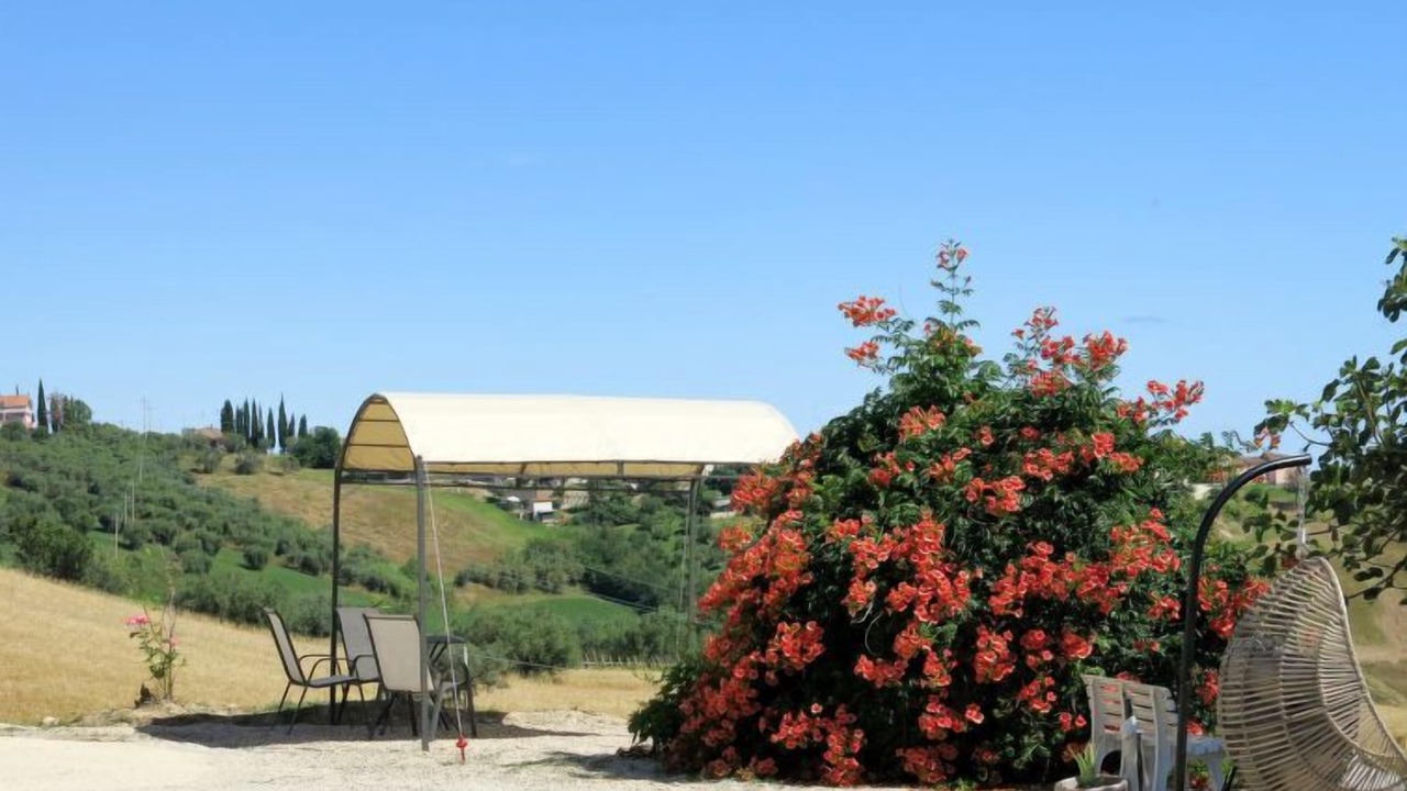 Photo of Outdoor in Cologna Spiaggia