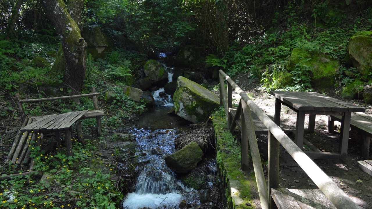 Photo of Outdoor in San Mauro Cilento