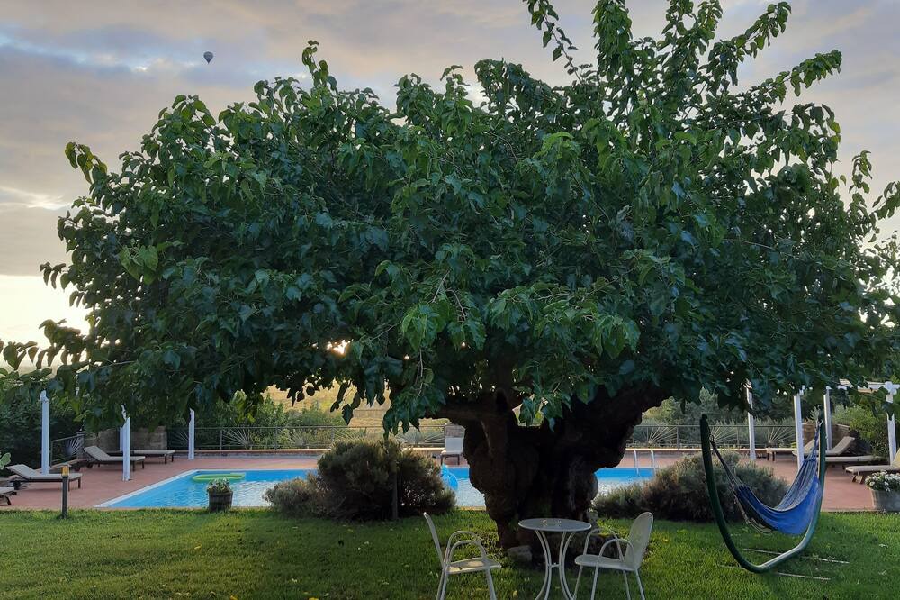 Photo of Outdoor in Capaccio-Paestum
