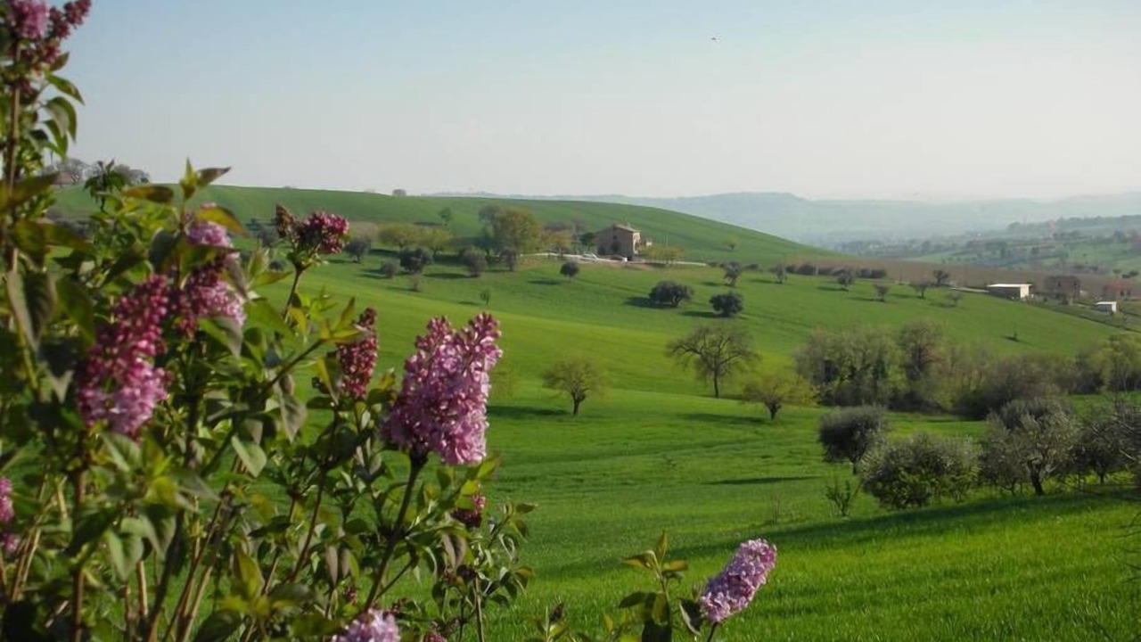 Photo of Outdoor in Montecassiano