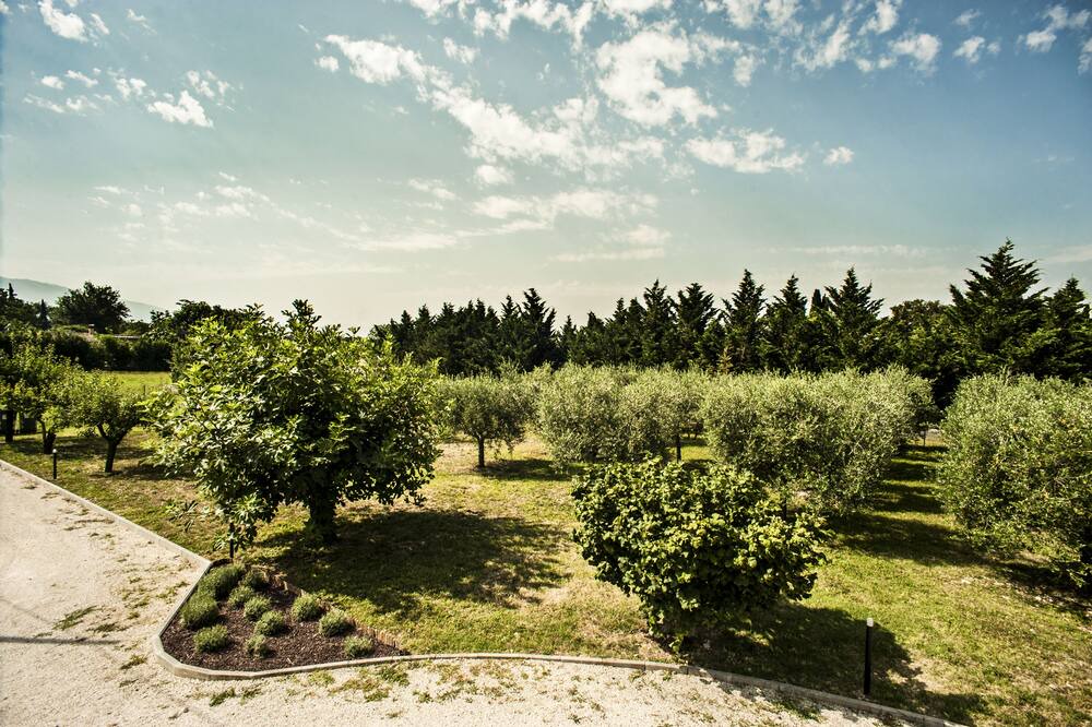 Photo of Outdoor in Spello