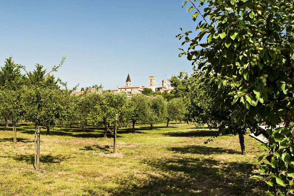 Photo of Outdoor in Spello