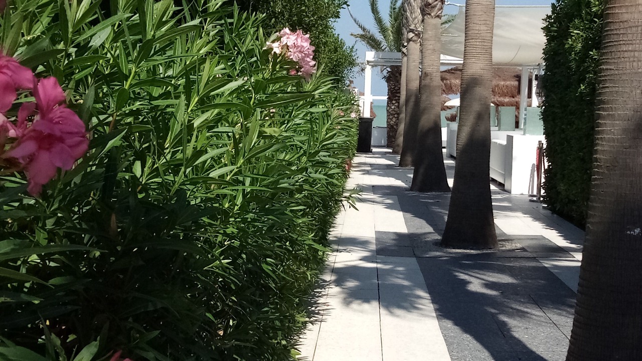 Photo of Others in Civitanova Marche