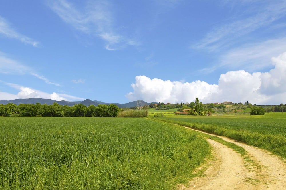 Photo of Others in Castiglione del Lago