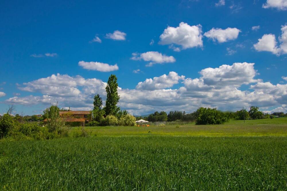 Photo of Others in Castiglione del Lago