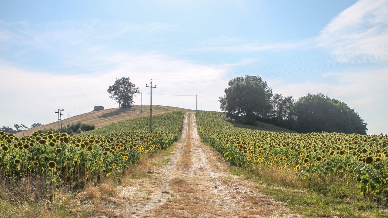 Photo of Outdoor in Fermo