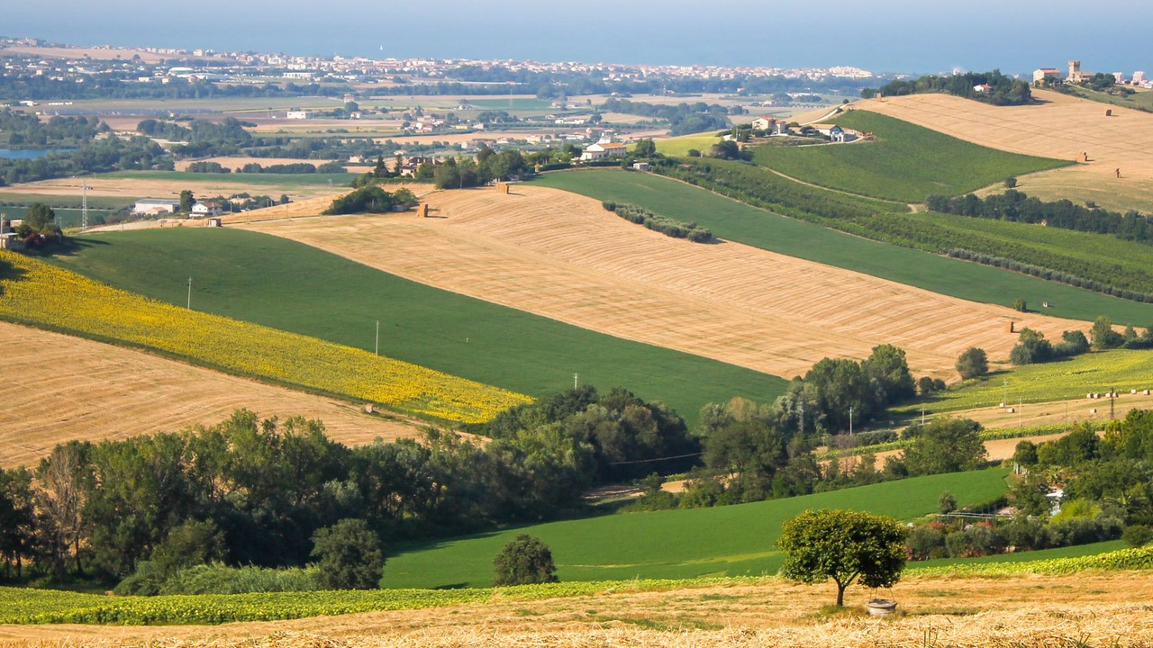 Photo of Others in Fermo