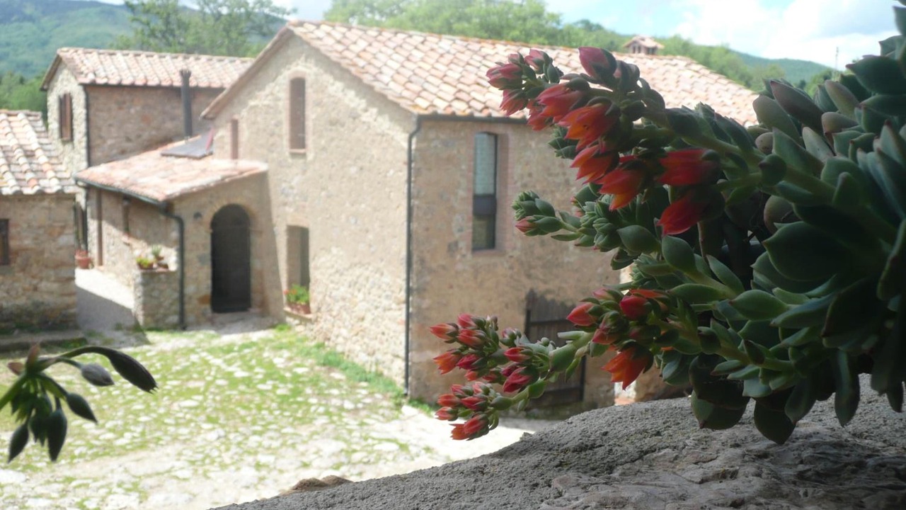 Photo of Outdoor in Montieri