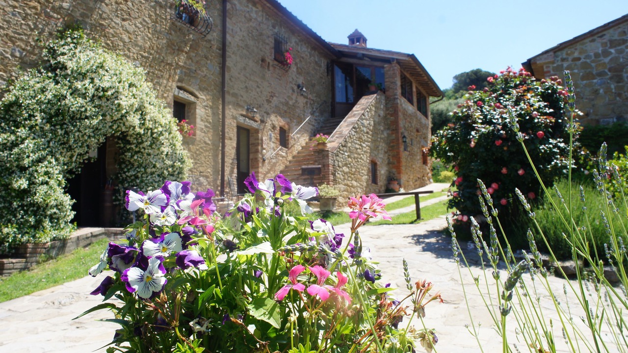 Photo of Others in Magione