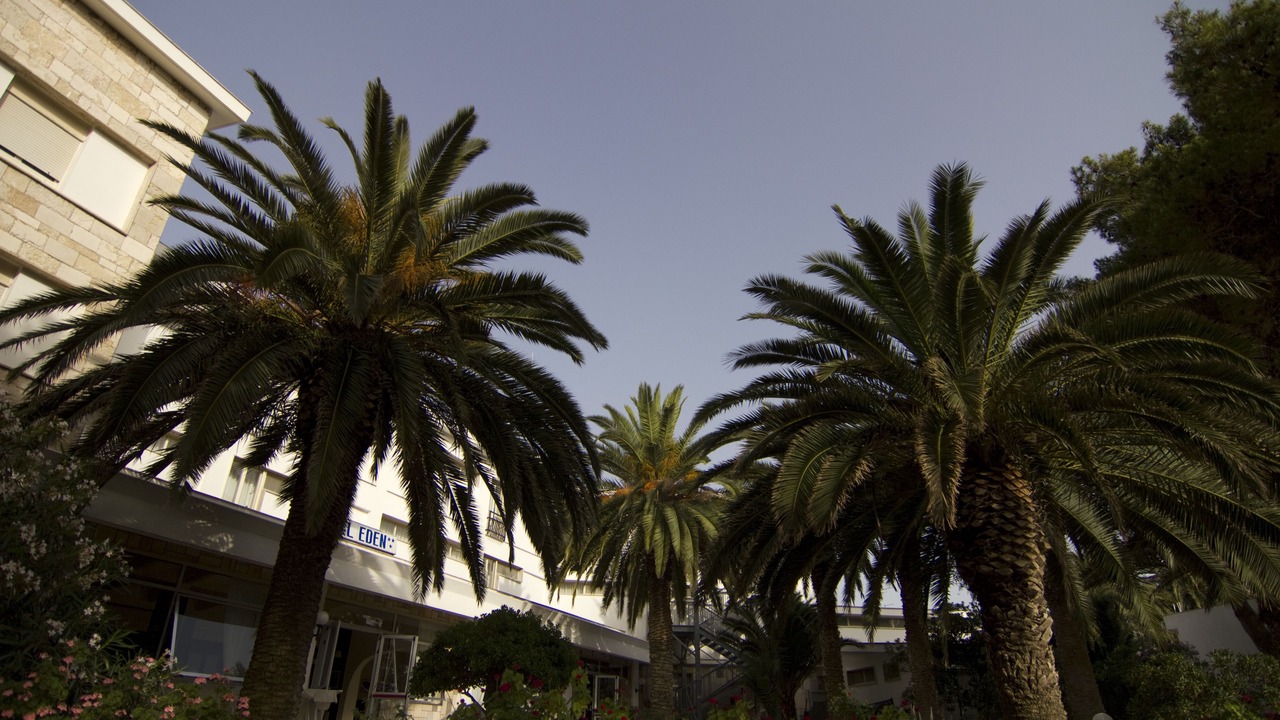 Photo of Outdoor in Tremiti Islands