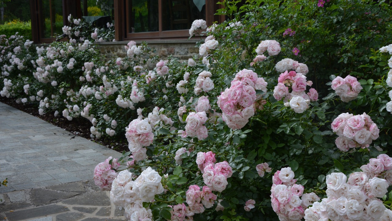 Photo of Outdoor in Montelovesco