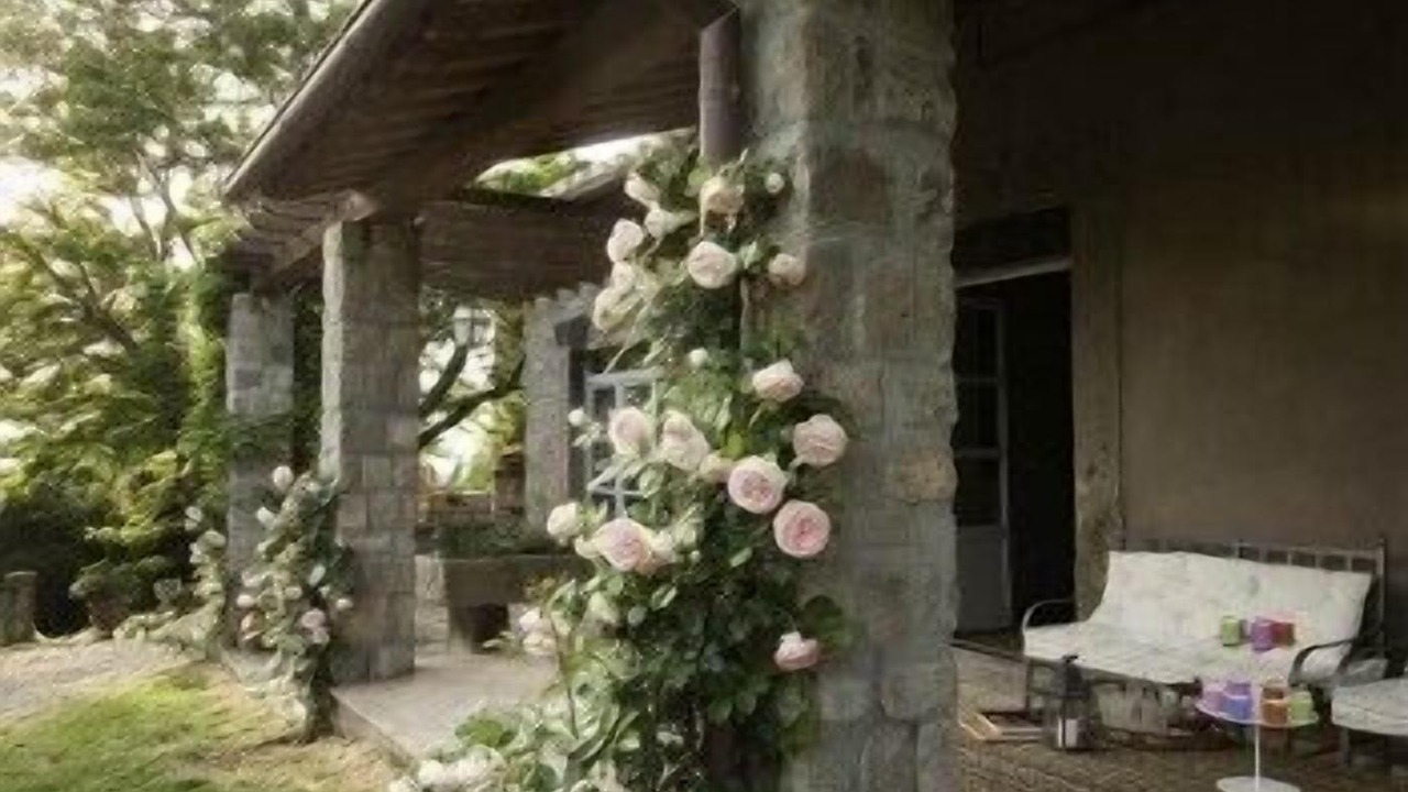 Photo of Patio Balcony in Viterbo