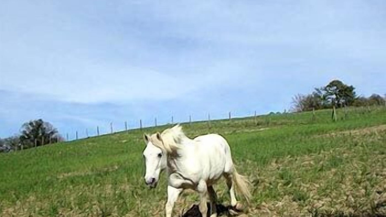 Photo of Outdoor in Assisi