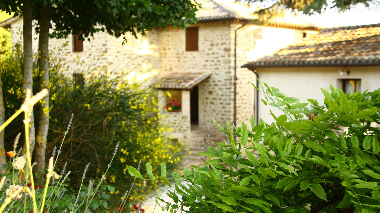 Photo of Outdoor in Assisi
