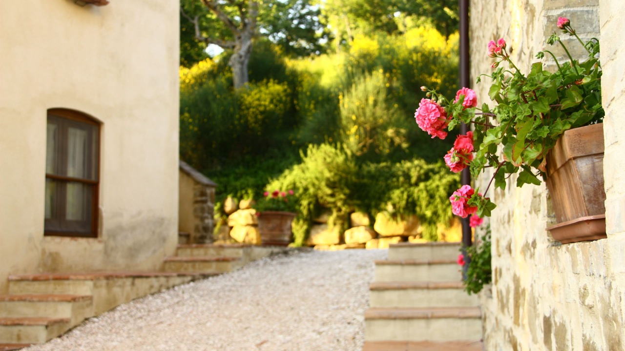 Photo of Outdoor in Assisi