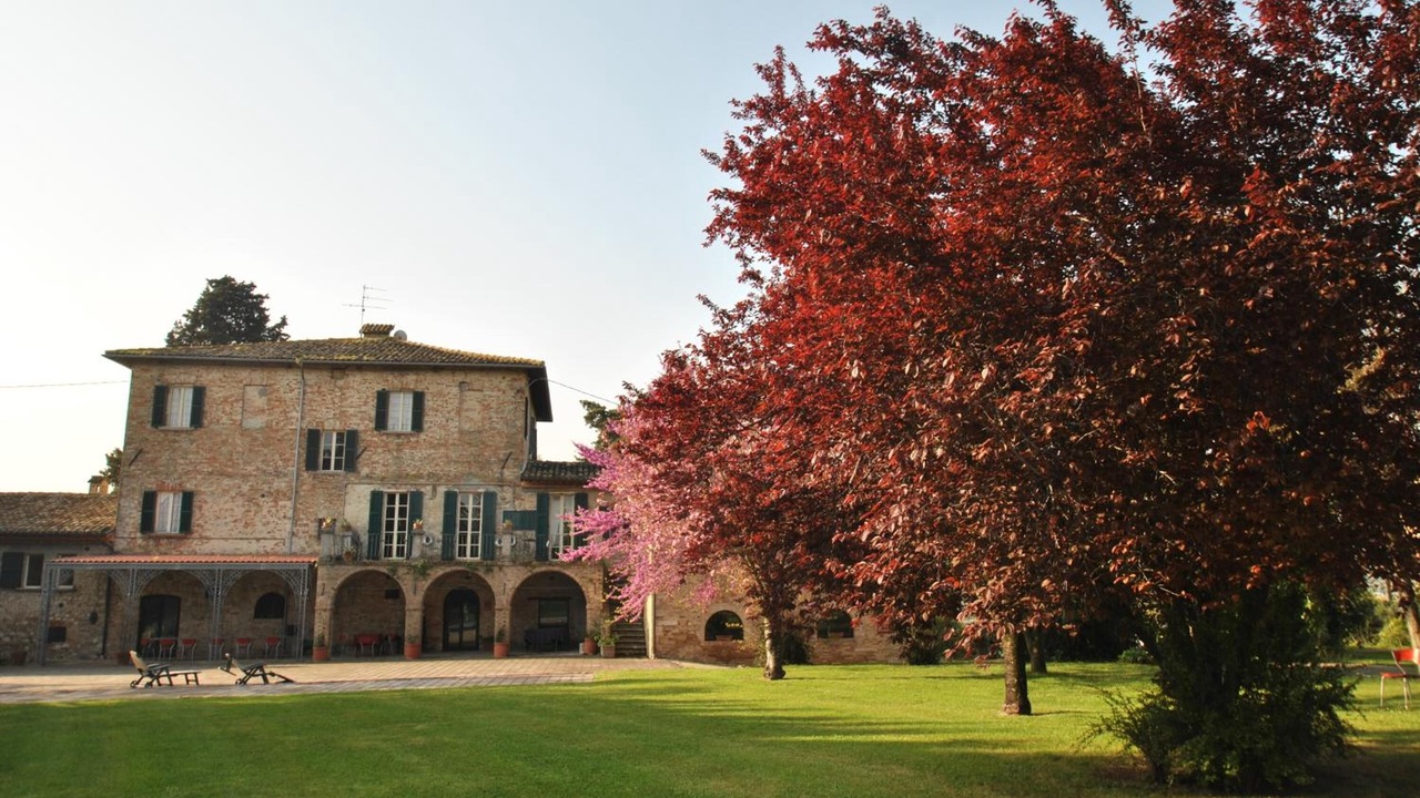 Photo of Outdoor in Stella