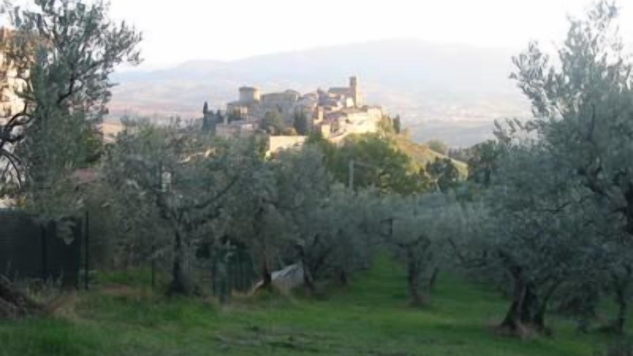 Photo of Outdoor in Gualdo Cattaneo