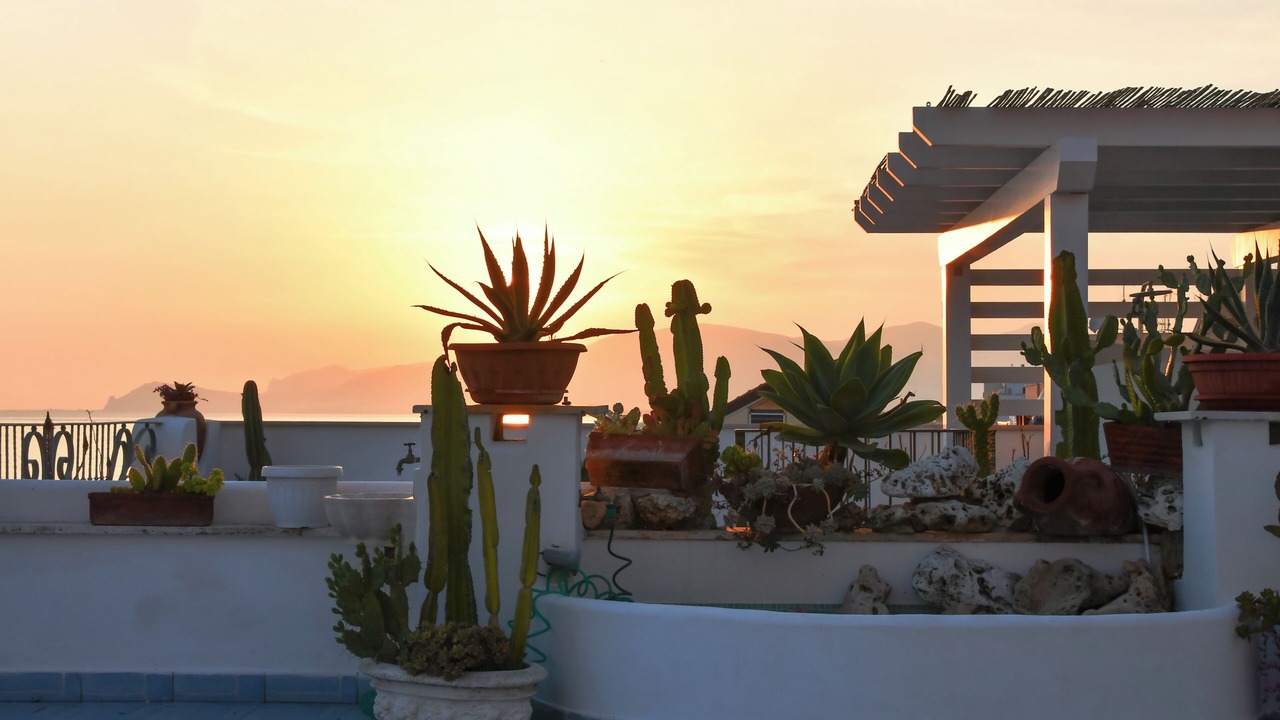 Photo of Outdoor in Sperlonga