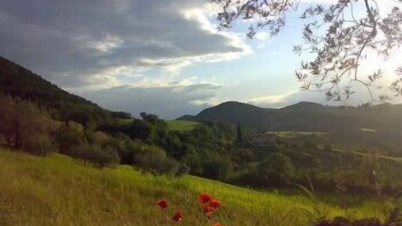 Photo of Outdoor in Assisi