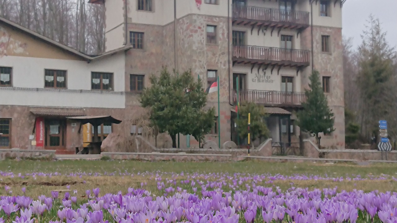 Photo of Outdoor in Castel del Piano