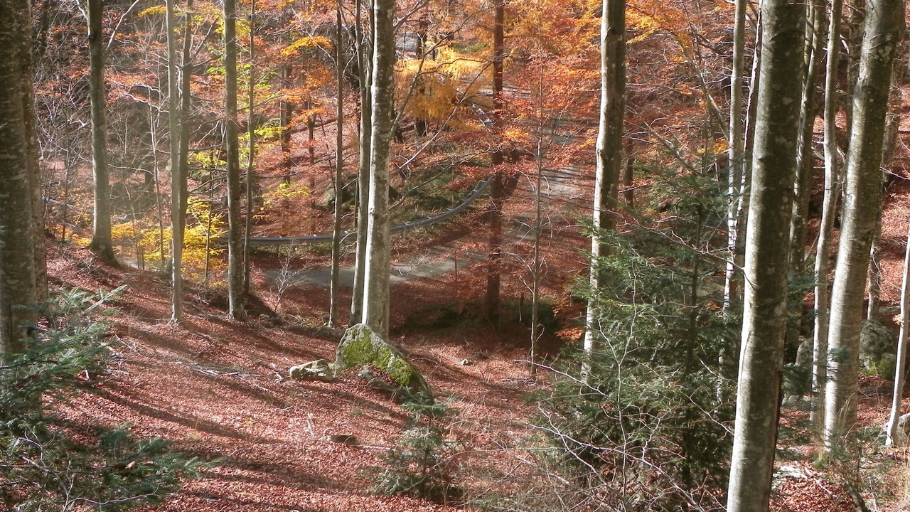 Photo of Outdoor in Castel del Piano