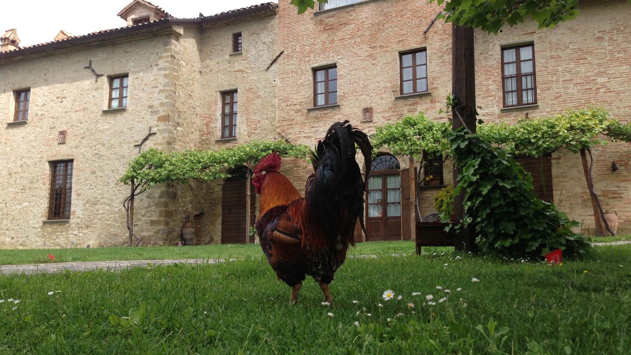 Photo of Outdoor in Piosina
