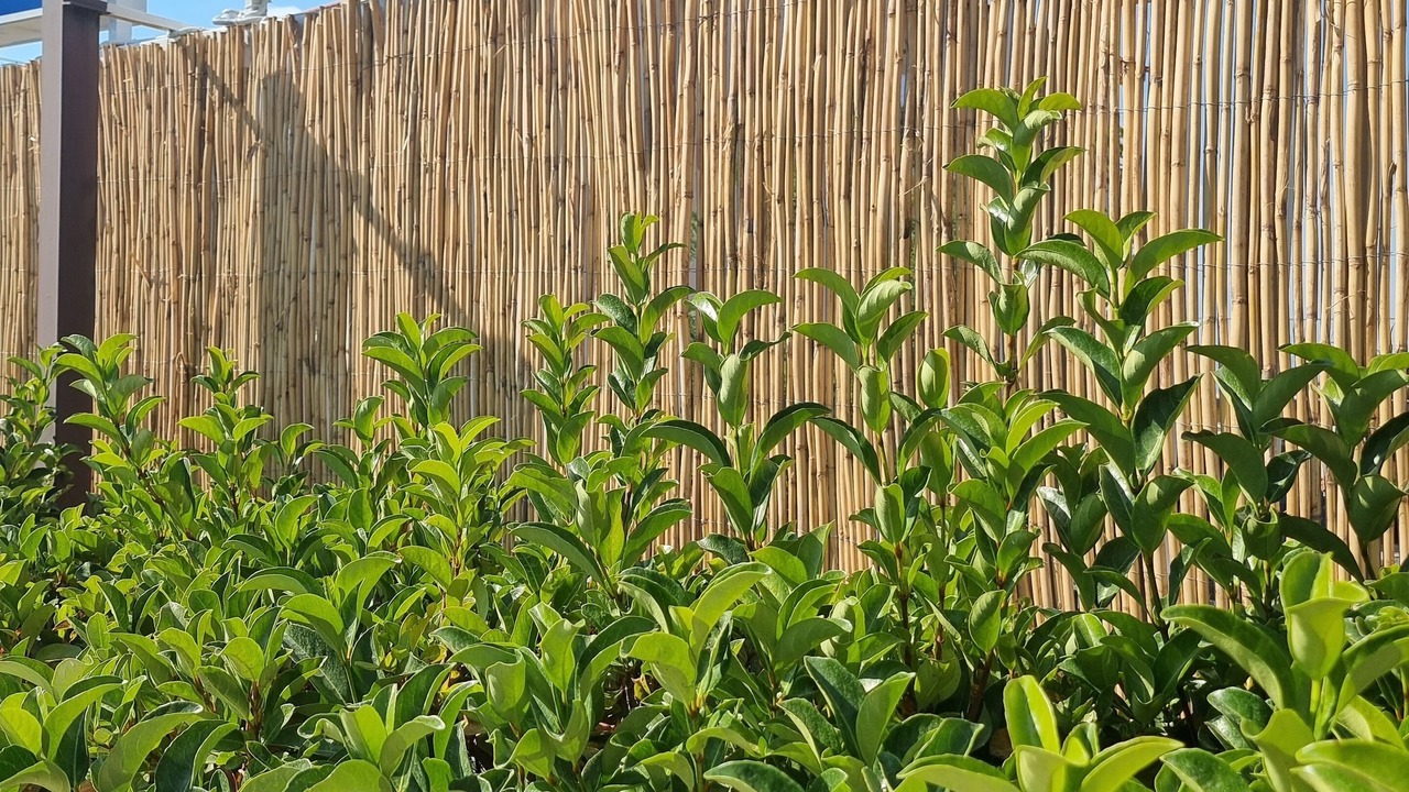 Photo of Outdoor in Zona Ospedaliera