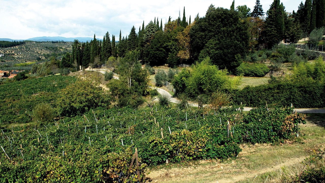 Photo of Outdoor in Chiassa Superiore