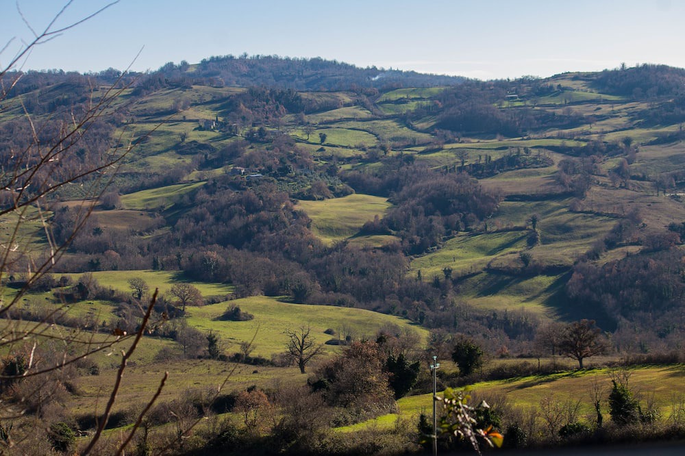 Photo of Others in Petricci