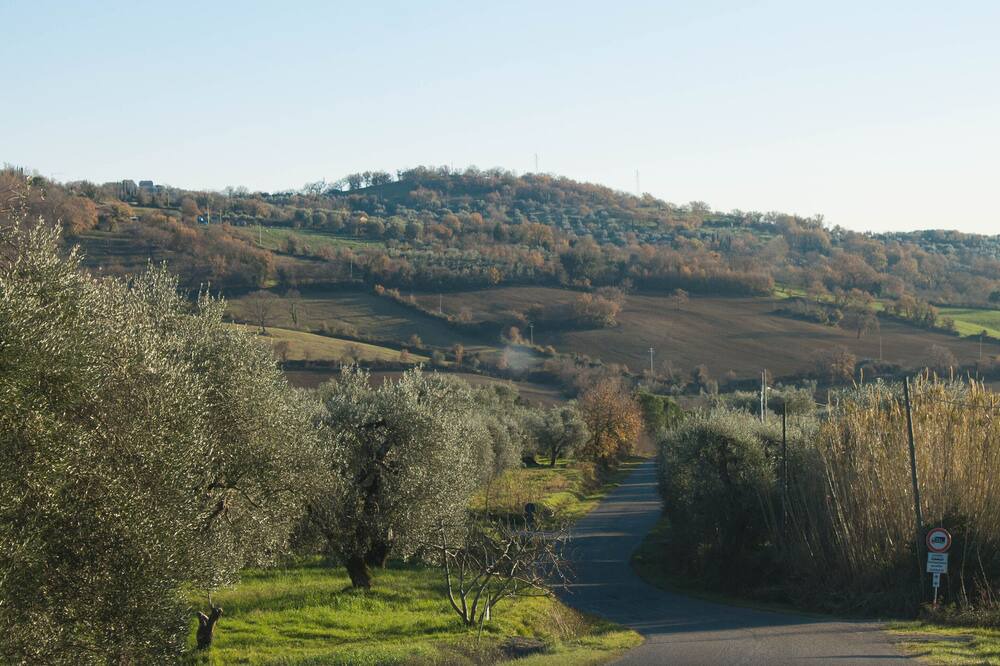 Photo of Others in Petricci