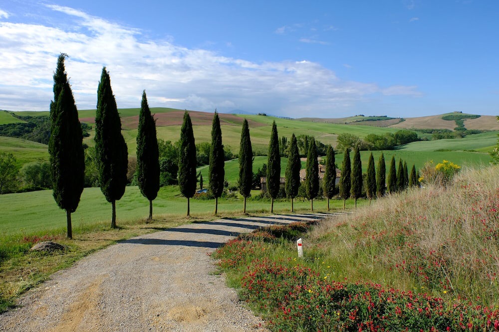 Photo of Outdoor in San Giovanni d'Asso