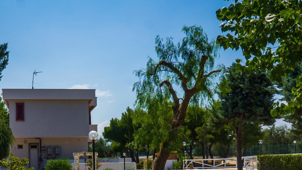 Photo of Outdoor in Giovinazzo