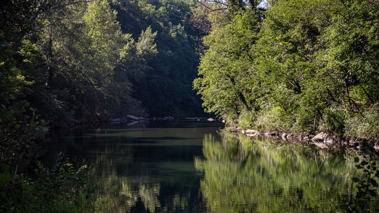 Photo of Outdoor in Ponte Buriano