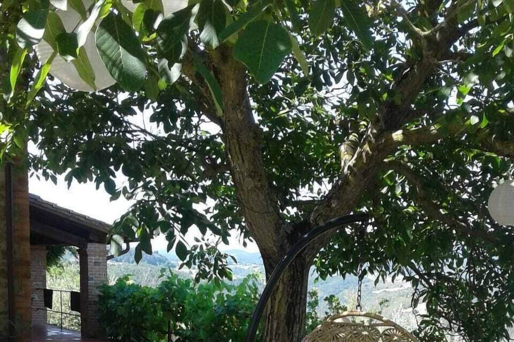 Photo of Outdoor in San Venanzo